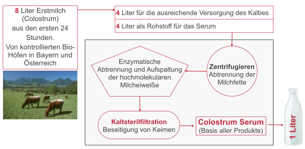 Ein Diagramm zeigt die einzelnen Herstellungsschritte der Vicosan Colostrum Kaltherstellung.